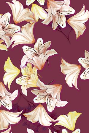 披肩长巾印花华亿平台图片