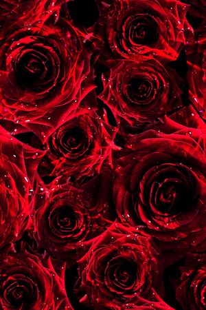 玫瑰花印花华亿平台图片