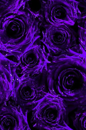 玫瑰花印花华亿平台图片