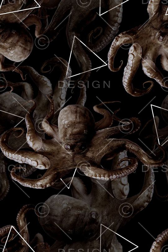 海底动物印花华亿平台图片