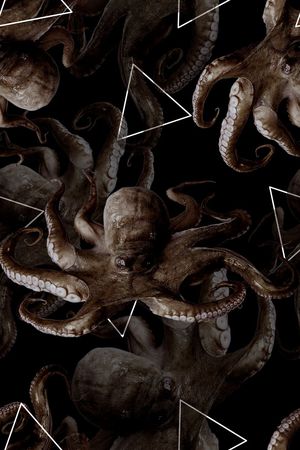 海底动物印花华亿平台图片