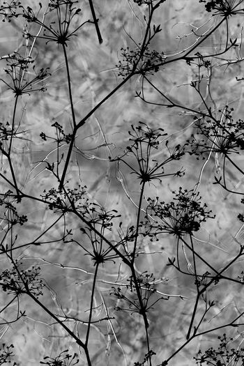 700378-wal-160904-4-1