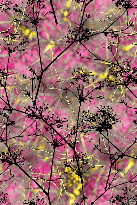 植物印花华亿平台图片