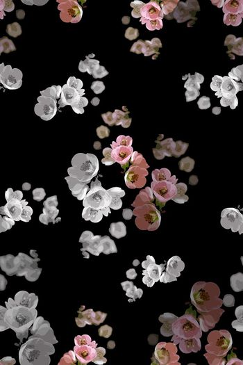 700393-160831-青蓝雅韵-2-2