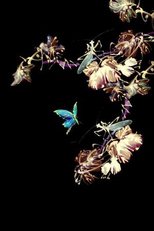 时尚男装印花华亿平台图片