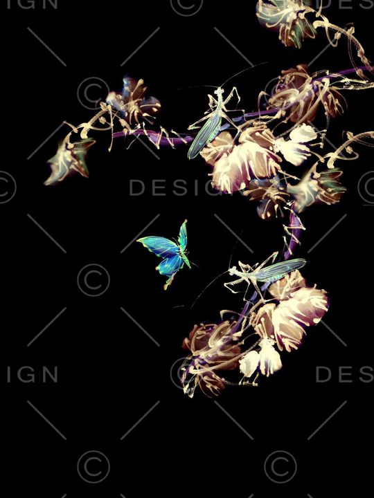 时尚男装印花华亿平台图片