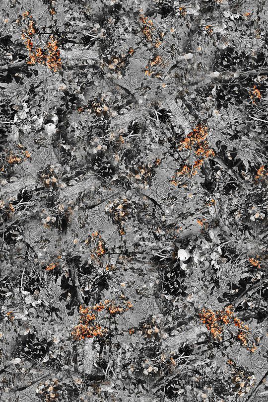 手绘树叶印花印花华亿平台图片