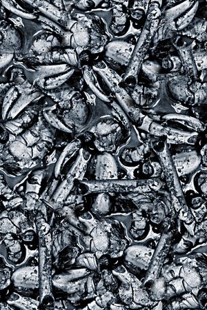 手绘莲藕泥土印花印花华亿平台图片