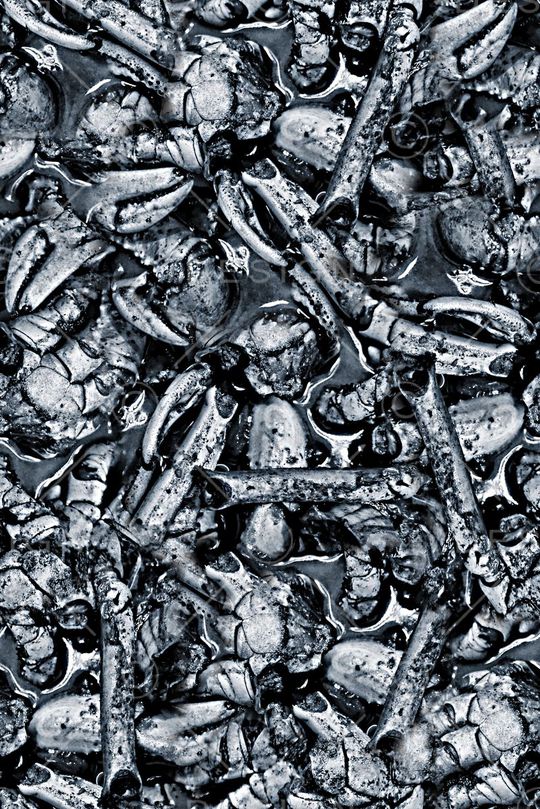 手绘莲藕泥土印花印花华亿平台图片