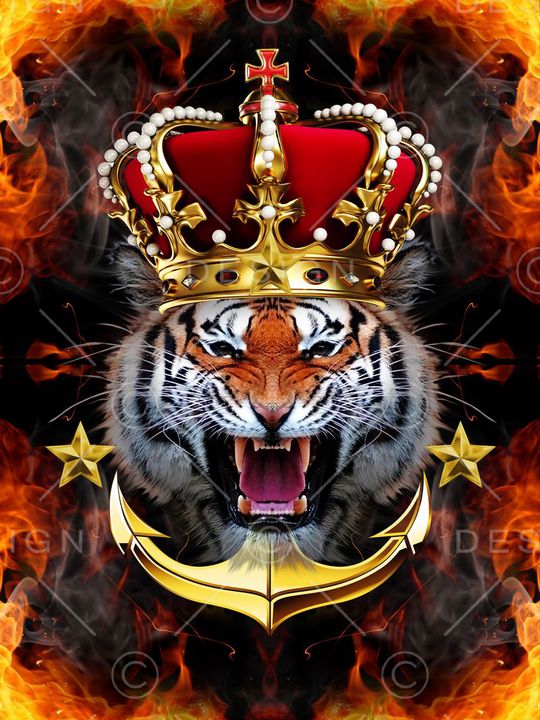 宫廷印花华亿平台图片