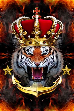 宫廷印花华亿平台图片