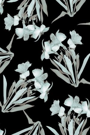 水仙花印花华亿平台图片