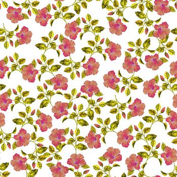 700932-沙花卉白、