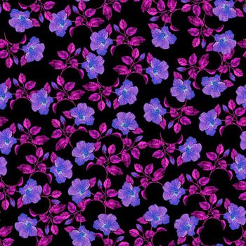 700934-沙花卉紫
