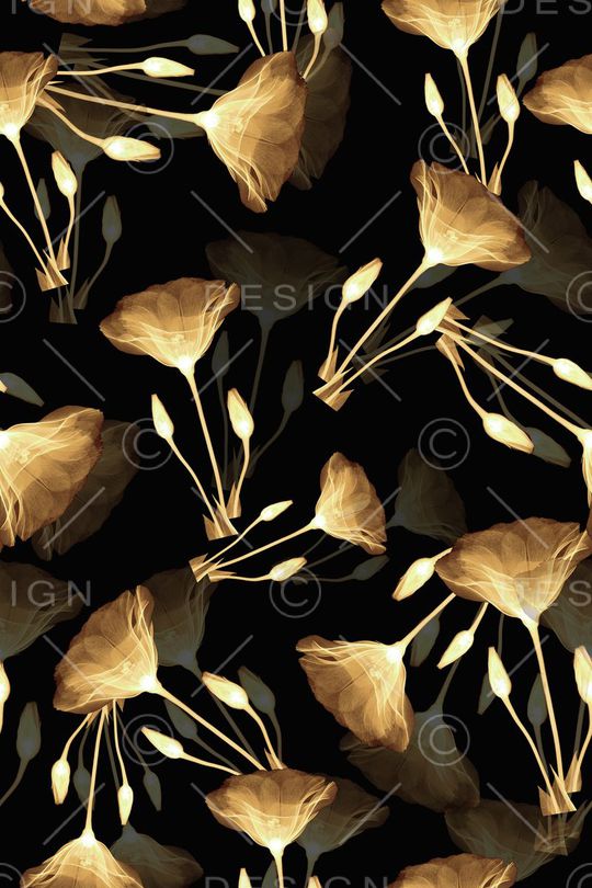 大花花卉印花华亿平台图片