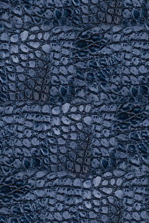 蛇纹纹理印花印花华亿平台图片