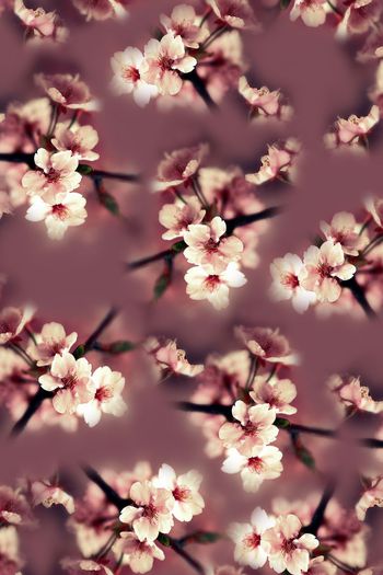 桃花印花华亿平台图片