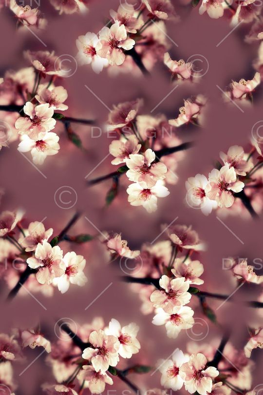 桃花印花华亿平台图片