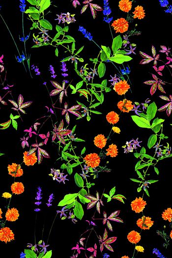 701231-2016-9-6小碎花1