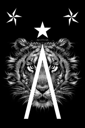 大牌印花华亿平台图片