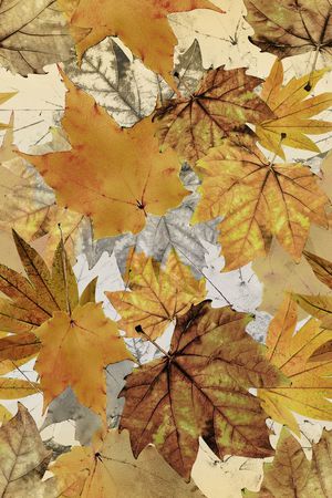 流行时尚印花华亿平台图片