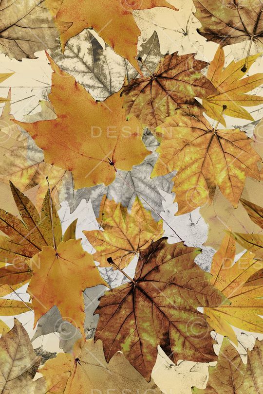 流行时尚印花华亿平台图片