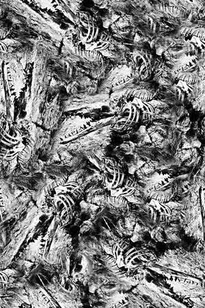 手绘抽象鳄鱼印花印花华亿平台图片