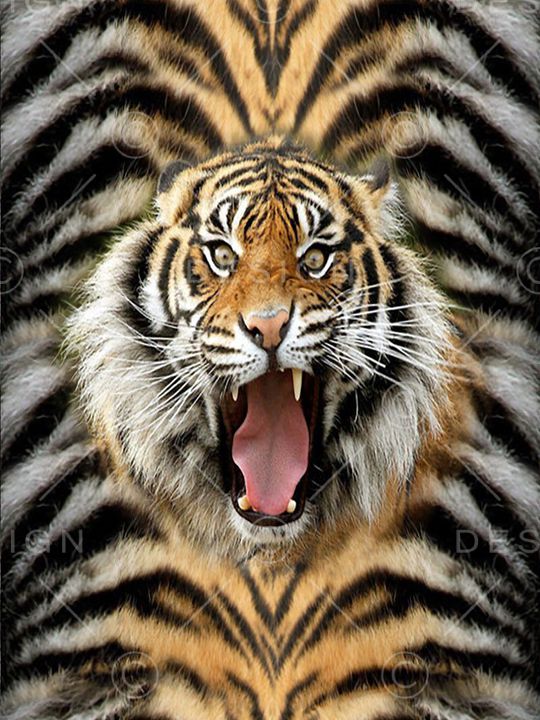 虎头印花华亿平台图片