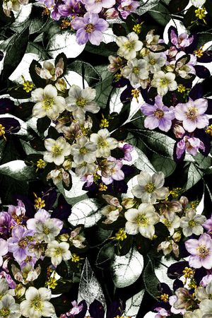 大花卉印花华亿平台图片