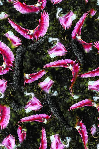 男装印花华亿平台图片