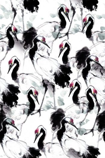 仙鹤印花华亿平台图片