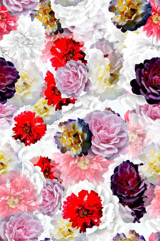 花鸟印花华亿平台图片