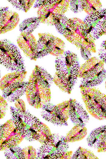 701964-363五彩缤纷的嘴唇1