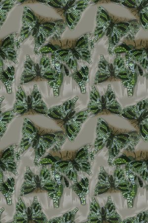 蝴蝶艺象印花华亿平台图片