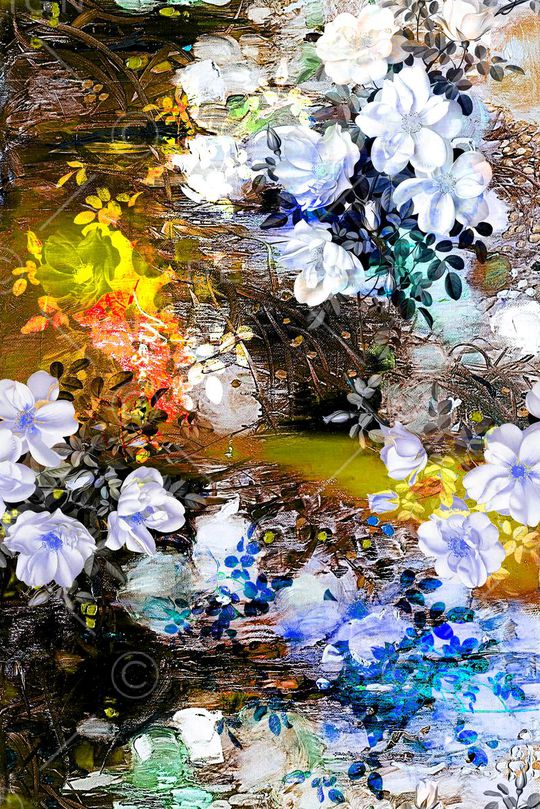 玫瑰印花华亿平台图片