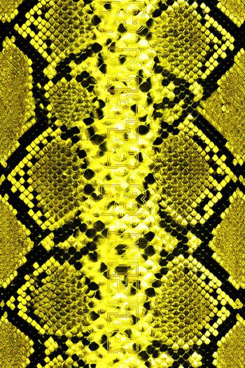 702141-41419481snake