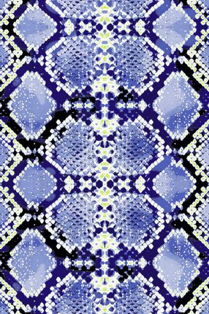 蛇纹印花华亿平台图片