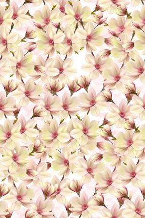 零点--女装印花华亿平台图片