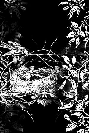 树枝印花华亿平台图片