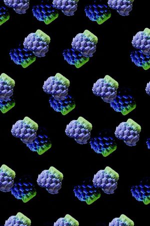 花朵印花华亿平台图片