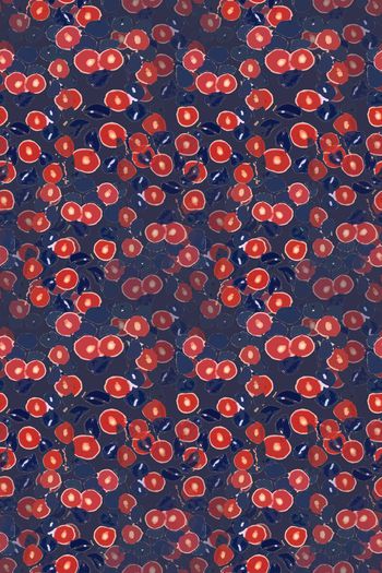 702473-160901-迷彩-3-1