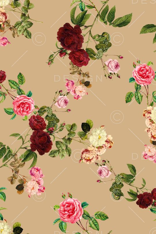 玫瑰印花华亿平台图片