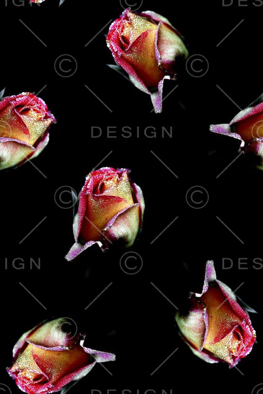 玫瑰花花卉数码印花印花华亿平台图片