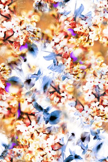 女装印花华亿平台图片