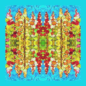 丝巾围巾秀场印花华亿平台图片