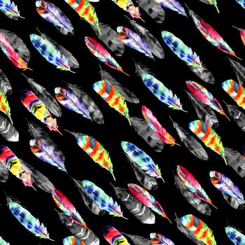 703579-彩色黑白羽毛