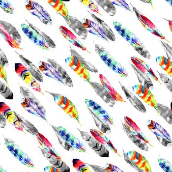 703581-彩色黑白羽毛白