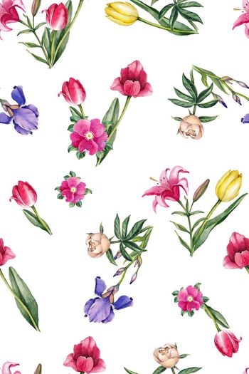 703602-手绘郁金香花卉1