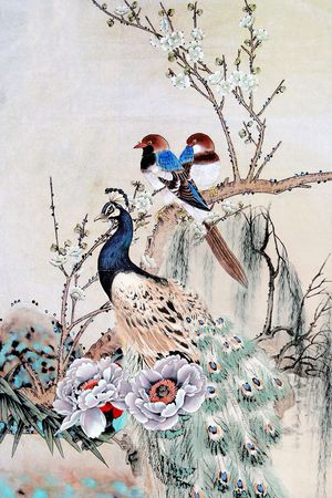 孔雀印花华亿平台图片