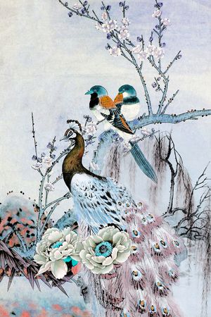 孔雀印花华亿平台图片